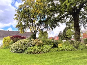 Communal Garden- click for photo gallery